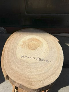 Eucalyptus